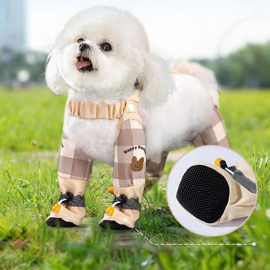 🐕Pantaloni anti-praf pentru exterior, pentru câini🐾